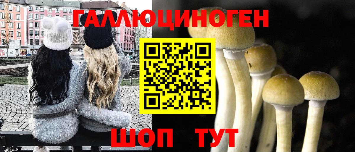 Псилоцибиновые грибы Magic Shrooms  Псилоцибиновые грибы Cubensis  Вход с VPN  Ленинск-Кузнецкий 